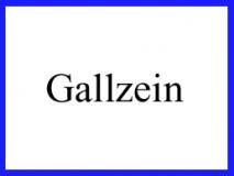 Gemeinde Gallzein