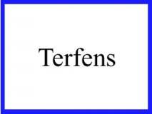 Gemeinde Terfens